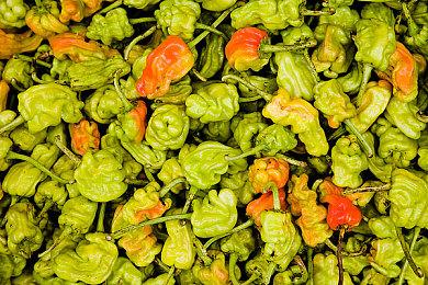 中世纪类魂肉鸽《死亡教堂》1.0正式版现已推出 特惠32.4元